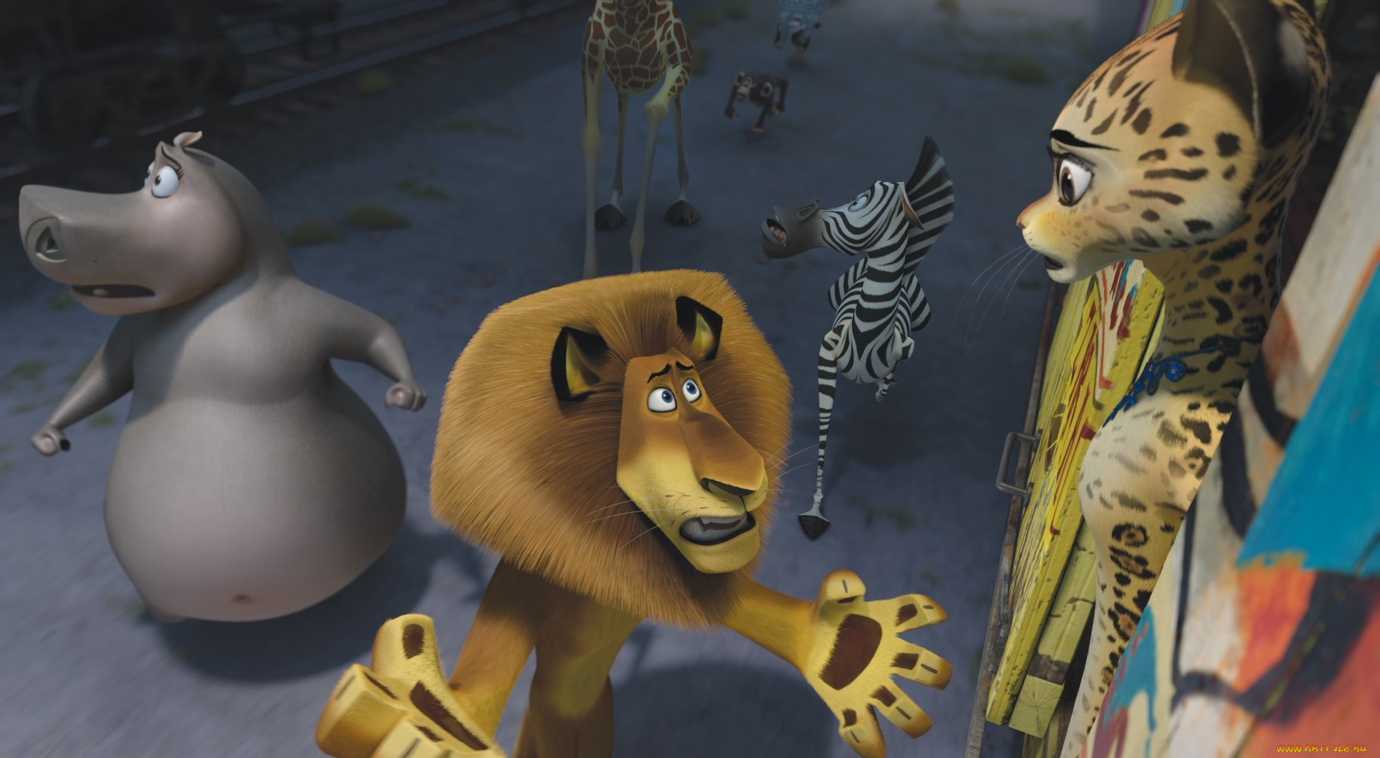 madagascar, europe`s, most, wanted, , , 3